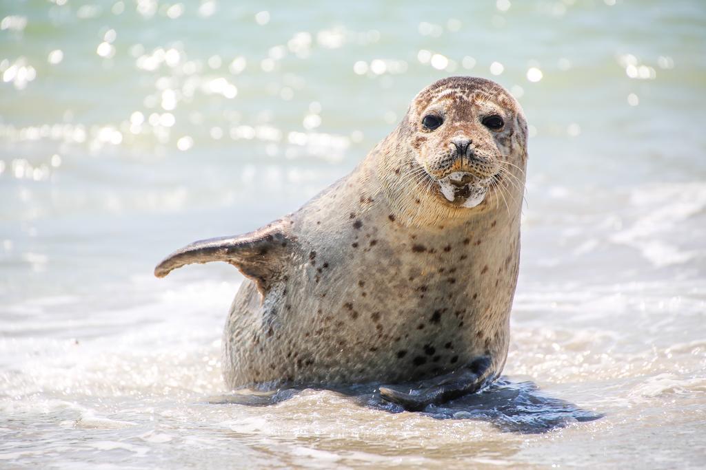 Hotel Windjammer ビューズム エクステリア 写真